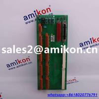 GE PLC IC697BEM711 | sales2@amikon.cn distributor